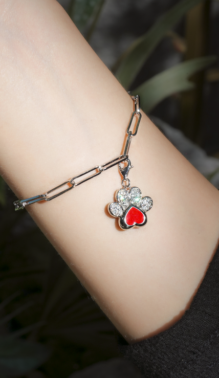 I Love You Pet Collection