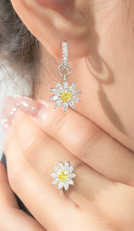 Sunlit Daisies Collection