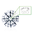 Flourishan Within — Diamond Nano Marking