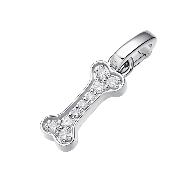 BONE CHARM